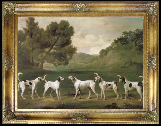 framed  George Stubbs Some Dogs, Ta038